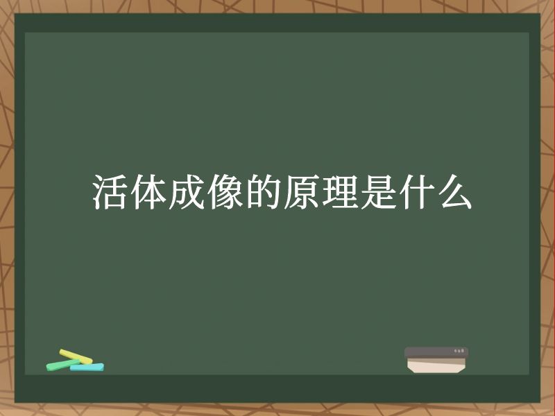  活体成像的原理是什么？