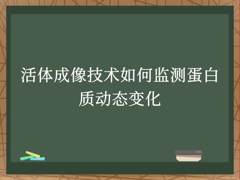 活体成像技术如何监测蛋白质动态变化
