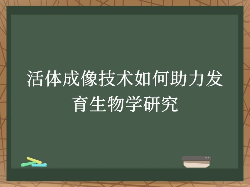 活体成像技术如何助力发育生物学研究