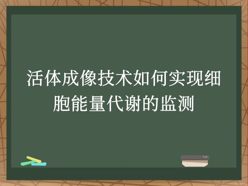 活体成像技术如何实现细胞能量代谢的监测