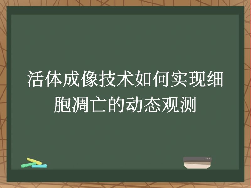活体成像技术如何实现细胞凋亡的动态观测