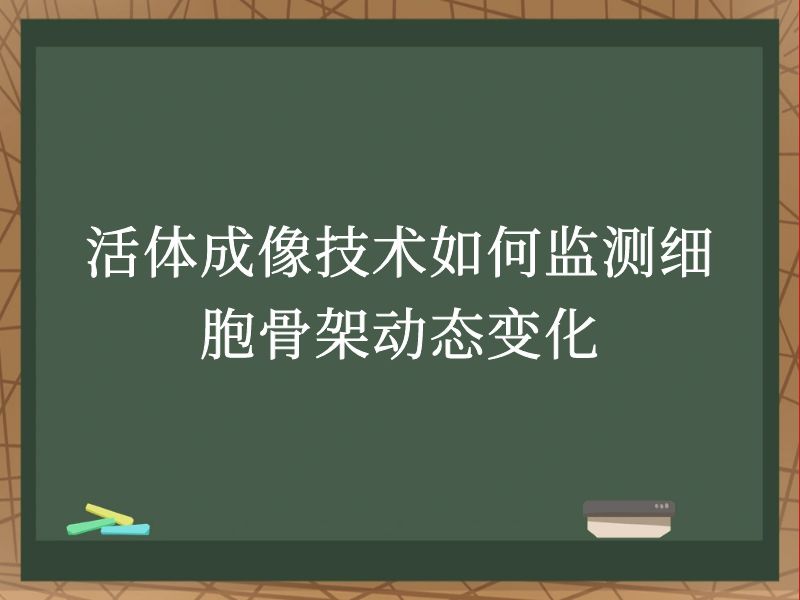 活体成像技术如何监测细胞骨架动态变化