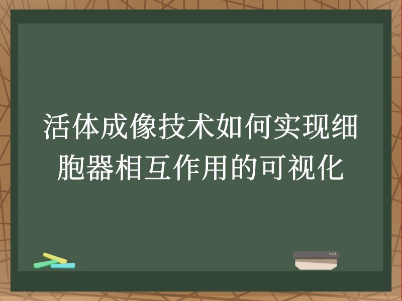 活体成像技术如何实现细胞器相互作用的可视化