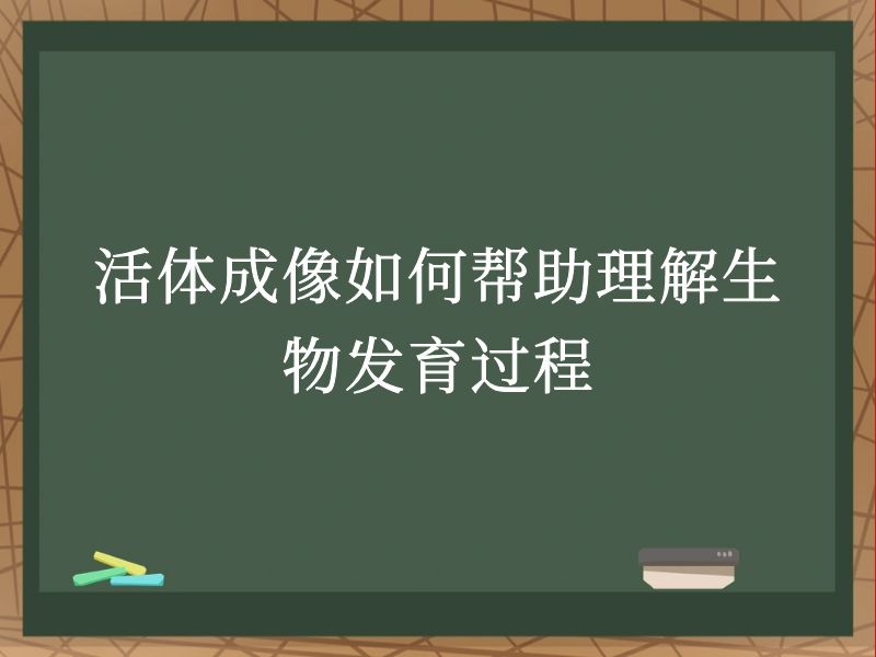 活体成像如何帮助理解生物发育过程