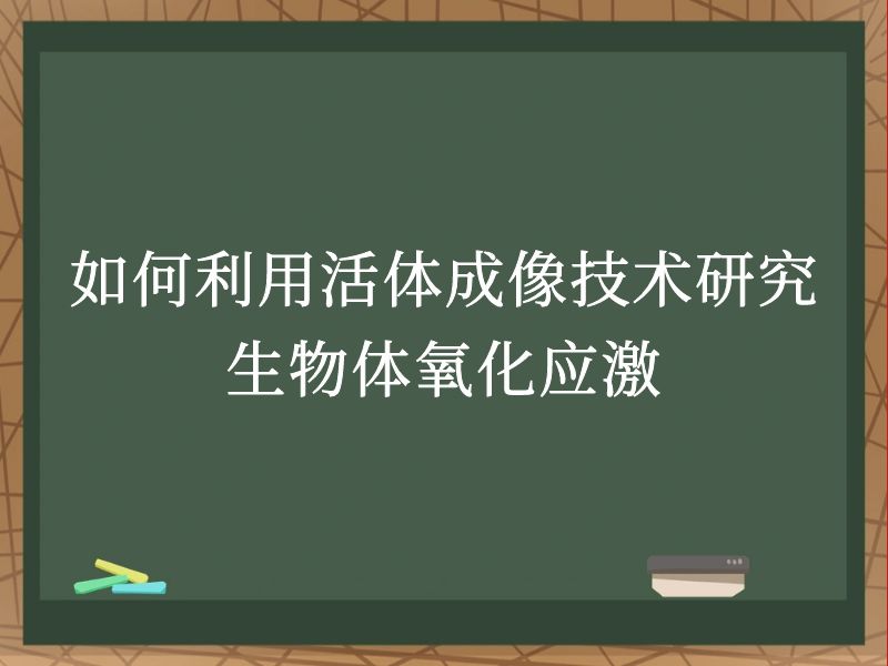 如何利用活体成像技术研究生物体氧化应激