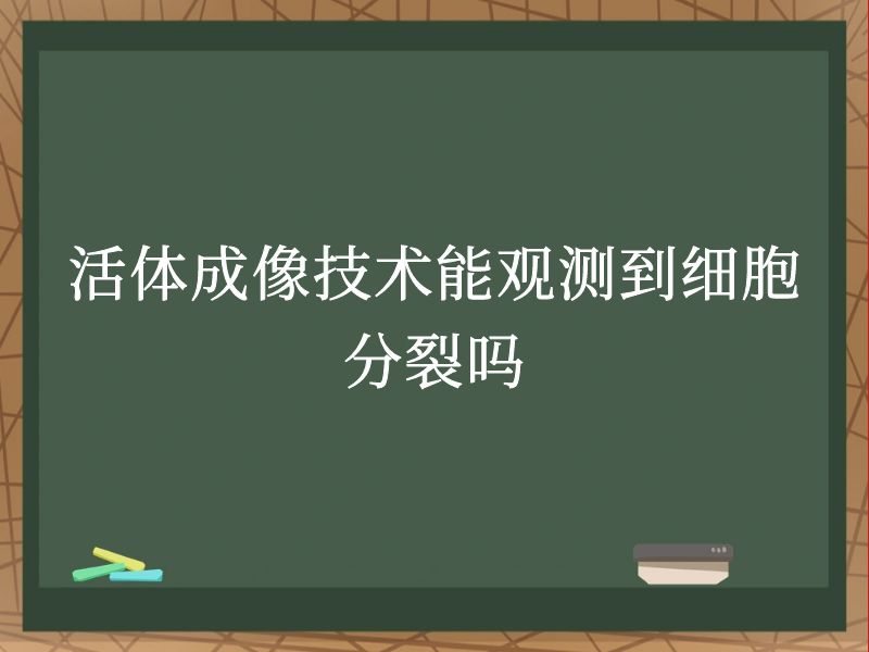 活体成像技术能观测到细胞分裂吗