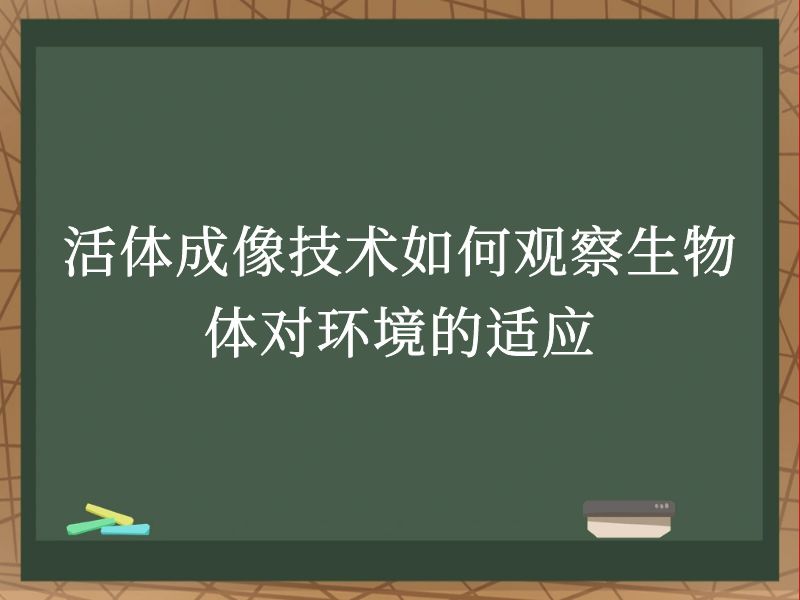 活体成像技术如何观察生物体对环境的适应