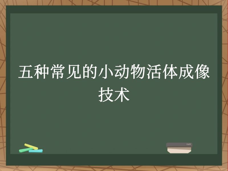 五种常见的小动物活体成像技术