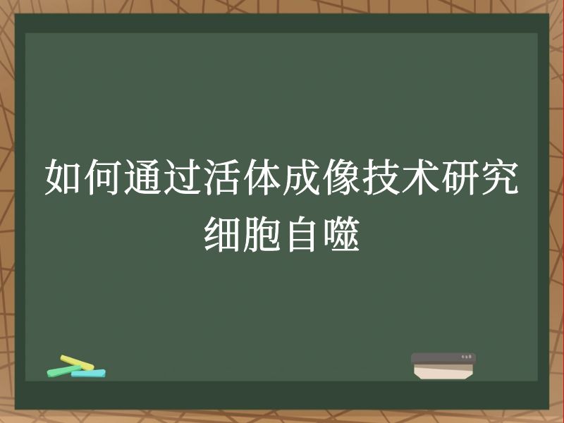 如何通过活体成像技术研究细胞自噬