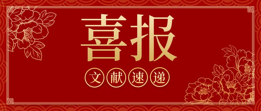 科辰星飞活体成像系统助力揭示单宁酸-铈纳米酶在急性肾损伤治疗中的新机制