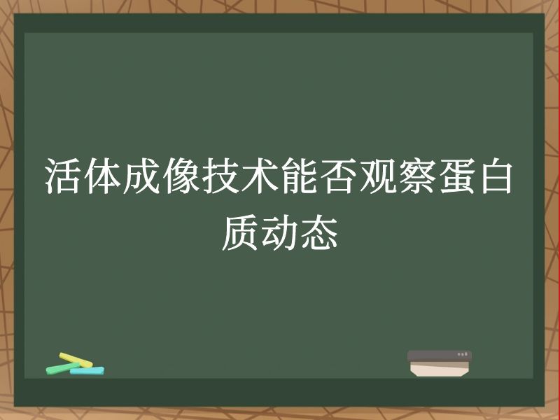 活体成像技术能否观察蛋白质动态