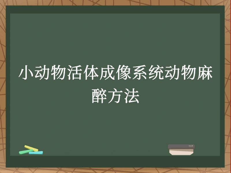 小动物活体成像系统动物麻醉方法