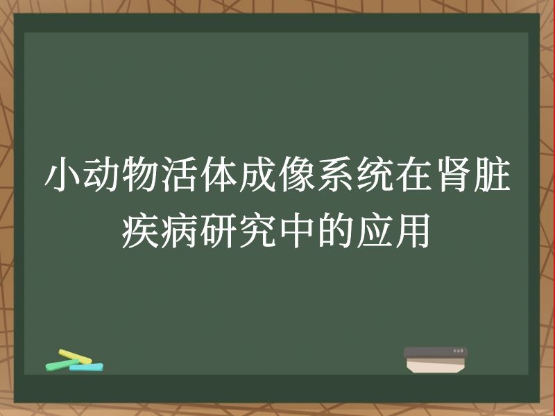 小动物活体成像系统在肾脏疾病研究中的应用